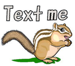 Funny,Cute and Cool Animals-by Miyabee sticker #13030937