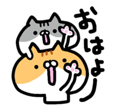 Everyday cat brother sticker #13033262