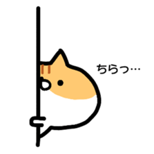 Everyday cat brother sticker #13033263