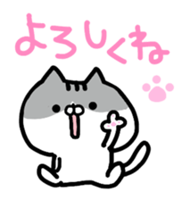 Everyday cat brother sticker #13033269