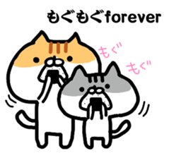 Everyday cat brother sticker #13033280