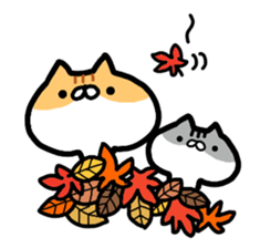Everyday cat brother sticker #13033285