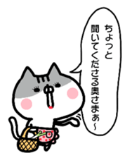 Everyday cat brother sticker #13033288