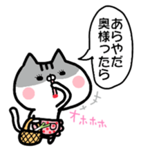 Everyday cat brother sticker #13033289
