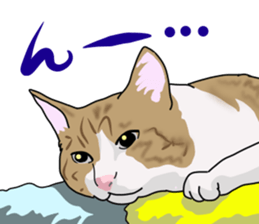 Words that would be said 3 sticker #13033955