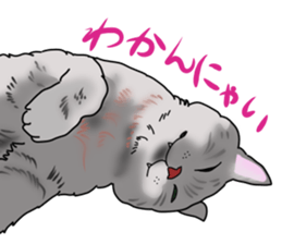 Words that would be said 3 sticker #13033956