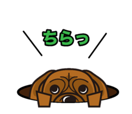iinu - Bordeaux Mastiff sticker #13034126