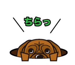 iinu - Bordeaux Mastiff sticker #13034126
