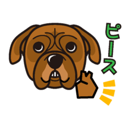 iinu - Bordeaux Mastiff sticker #13034139