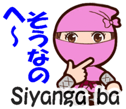 Female ninjas sticker #13035097