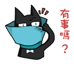 Funny cat's daily life. sticker #13035552