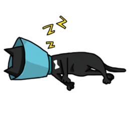 Funny cat's daily life. sticker #13035553