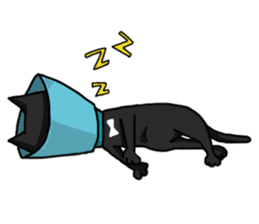 Funny cat's daily life. sticker #13035553