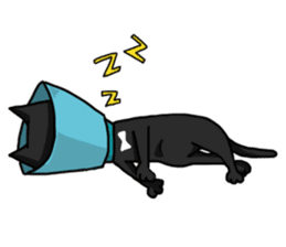 Funny cat's daily life. sticker #13035553