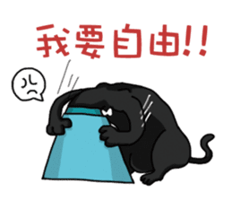 Funny cat's daily life. sticker #13035554