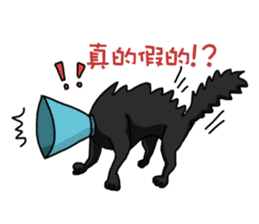 Funny cat's daily life. sticker #13035559
