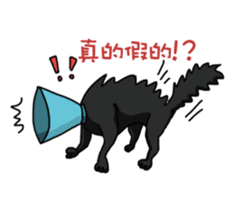 Funny cat's daily life. sticker #13035559
