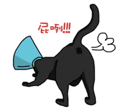 Funny cat's daily life. sticker #13035575