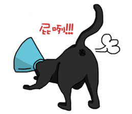 Funny cat's daily life. sticker #13035575