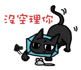 Funny cat's daily life. sticker #13035582