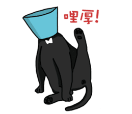 Funny cat's daily life. sticker #13035586