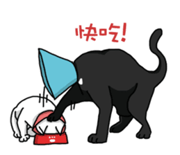 Funny cat's daily life. sticker #13035587
