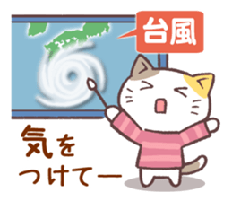 Sticker of autumn cat sticker #13040063