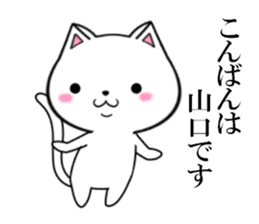 fcf cat part14 sticker #13041362