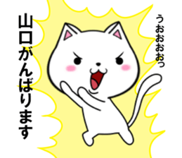 fcf cat part14 sticker #13041373