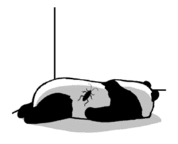 Pandan2(High speed Animated) sticker #13042490