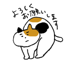 pretty kittens 2 (Kaji-neko)(Japanese) sticker #13042532