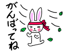 Daily conversation of the rabbit sticker #13045537