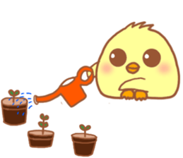 Lady chick Hiyotaso 5-pack for daily use sticker #13046272