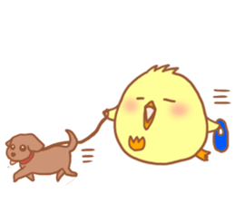 Lady chick Hiyotaso 5-pack for daily use sticker #13046273