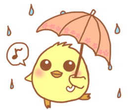 Lady chick Hiyotaso 5-pack for daily use sticker #13046292