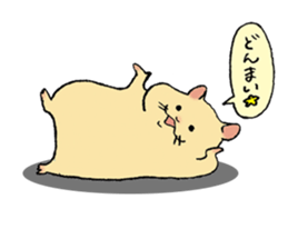 hamster Kimi 2 sticker #13048563
