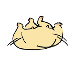 hamster Kimi 2 sticker #13048564