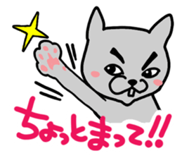 Cute cat (CAT) sticker #13048955