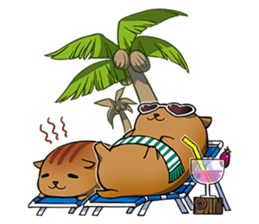 Falcom vol.13/Ys VIII sticker #13050541