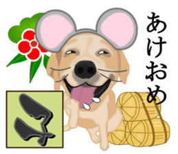 Auspicious sticker set of Labrador dog sticker #13052374