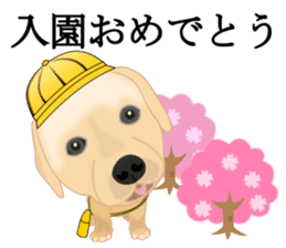 Auspicious sticker set of Labrador dog sticker #13052391