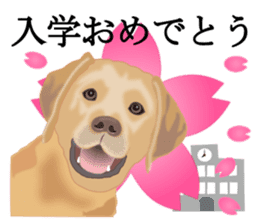 Auspicious sticker set of Labrador dog sticker #13052393