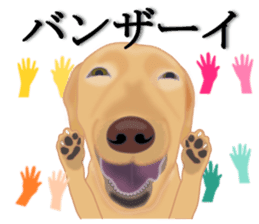 Auspicious sticker set of Labrador dog sticker #13052408