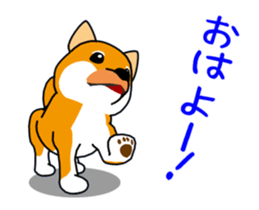 Move! Shiba Inu KOCHACHA. sticker #13052758