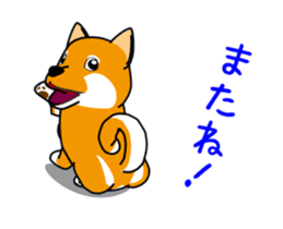 Move! Shiba Inu KOCHACHA. sticker #13052759