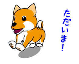 Move! Shiba Inu KOCHACHA. sticker #13052761