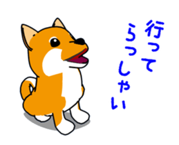 Move! Shiba Inu KOCHACHA. sticker #13052762