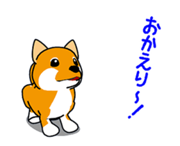 Move! Shiba Inu KOCHACHA. sticker #13052763