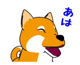 Move! Shiba Inu KOCHACHA. sticker #13052766