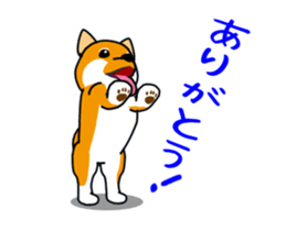 Move! Shiba Inu KOCHACHA. sticker #13052768